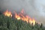 A Colorado resident told the AP that she is prepared to evacuate if needed. Smoke and flames are getting close to her neighborhood northwest of Colorado Springs. (June 26)
