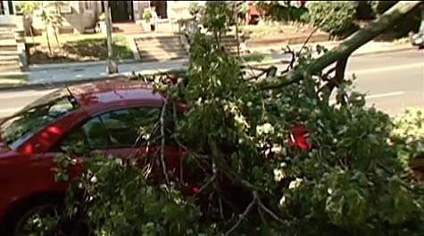 Violent storms swept across the eastern U.S., killing at least 13 people and knocking out power to millions of people on a day that temperatures across the region are expected to reach triple-digits.  