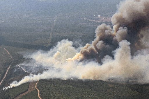 A large grass fire in Yell County near Ola forced thousands from their homes and caused widespread forestry damage.
