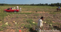 Arkansas Department of Corrections trustees gather watermelons on a farm in Scott while providing labor for the Arkansas Gleaning Project. The project, formed by Arkansas Hunger Relief Alliance and the Society of Saint Andrew gleans donated fields and orchards around the state and distributes the produce to local food banks, pantries, soup kitchens and shelters that feed or distribute food to the needy.