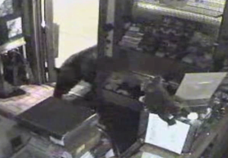 A black bear gently broke into a candy shop, ate piles of chocolate-covered treats and the only evidence he left behind was some dirt on the counter and some paper on the ground. (Aug. 8)
