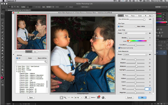 Alien Skin's Exposure 4 adds a variety of pre-set filters to your photo with just one click.