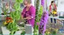 Little Rock floral designer Tanarah Haynie instructs students on the art of designing a parallel arrangement during the Thea Foundation&#x27;s Third Annual Flower Workshop on Wednesday.