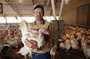 The journey of a Cargill turkey is shown from the company's hatchery in Gentry to a farm in Elkins and the processing plant in Springdale. Next stop: Thanksgiving tables.