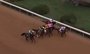 Patrons, jockeys and officials flocked to Oaklawn Park on Friday for the first day of the 2013 season. While fans saw is as the beginning of the racing year in Hot Springs, officials breathed a sigh of relief as months of preparation was put into action.