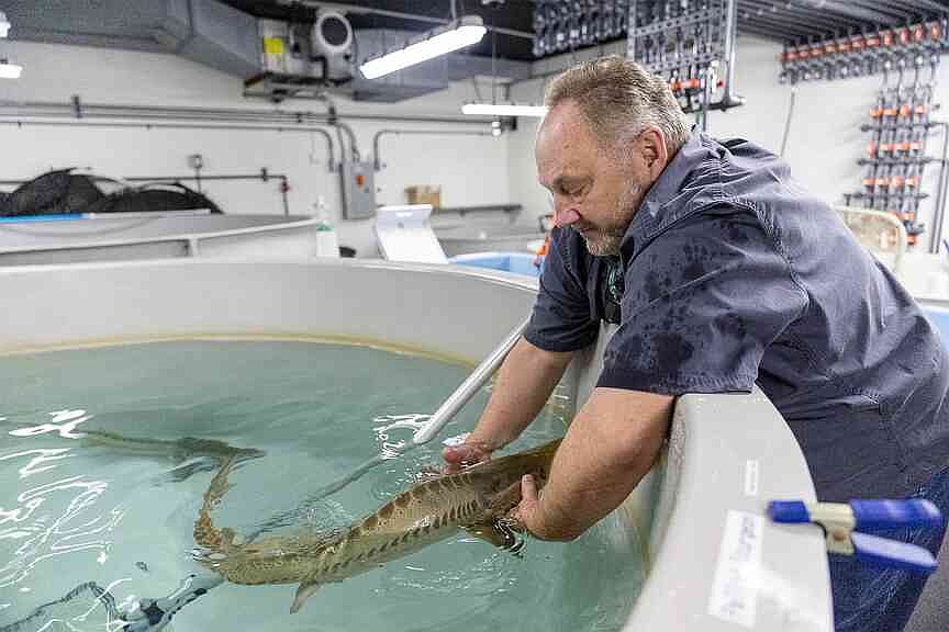 Columbia Environmental Research Center facing closure