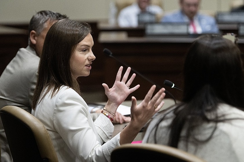 ABC votes to revoke Peppermint Hippo liquor license