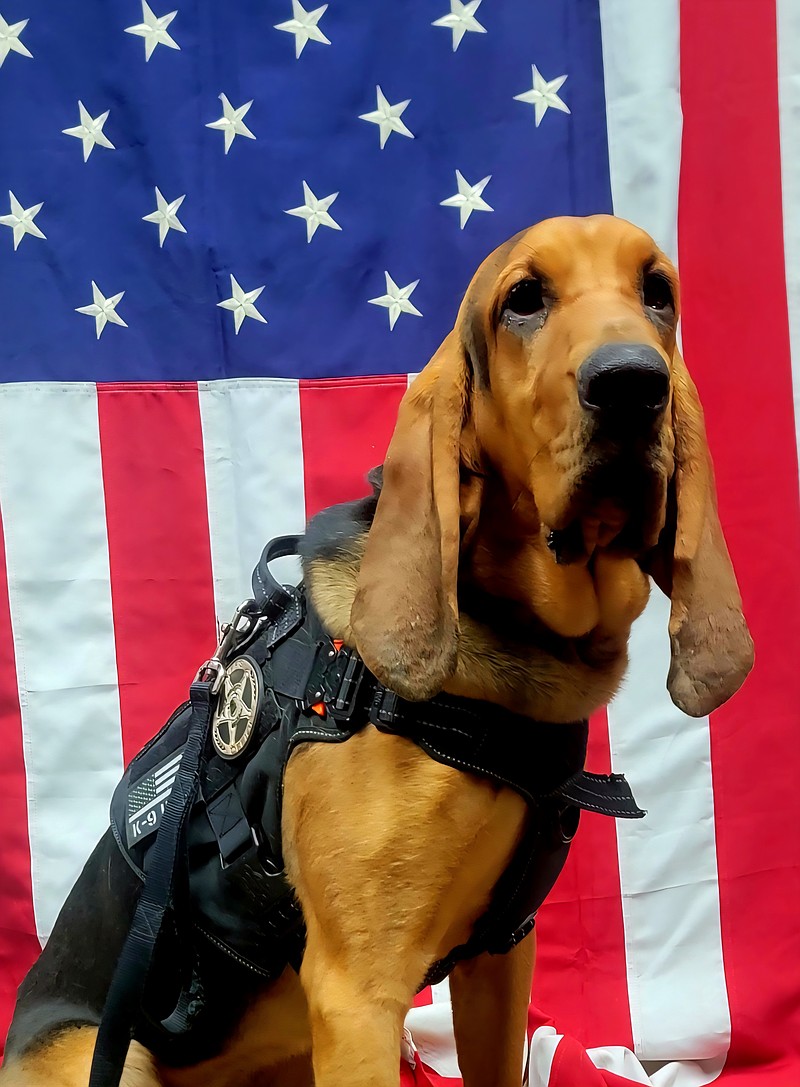 Dade County Sheriff's Office K-9 left in hot car, dies