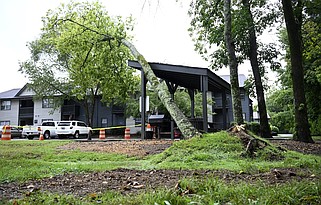 Chattanooga Flooding - August 2025 | Chattanooga Times Free Press
