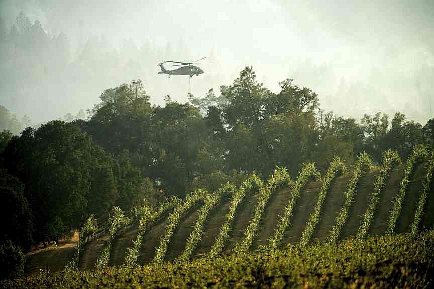 Wildfire in Oregon destroys 4 homes as flames spare California wineries