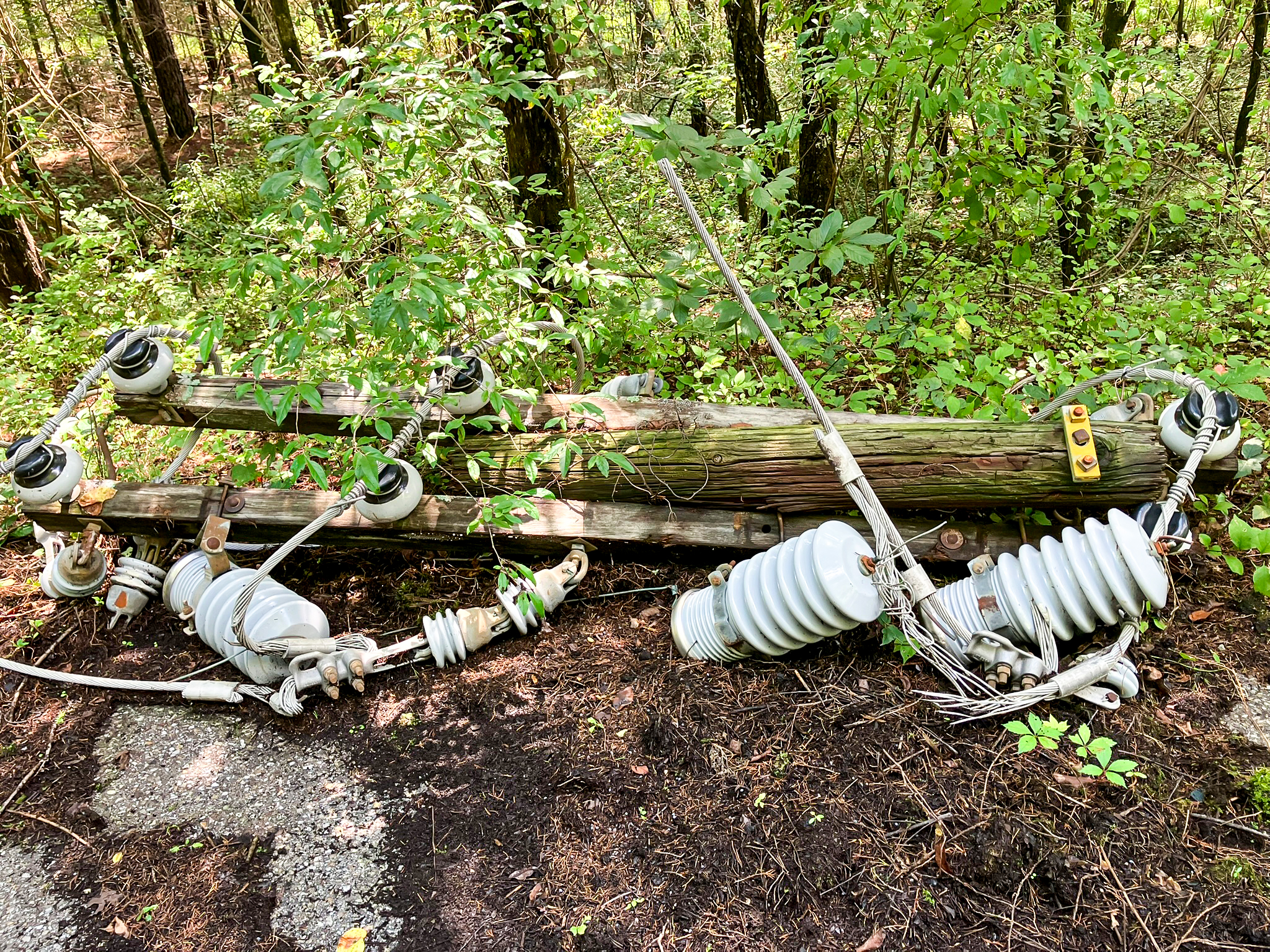 Hamilton County Sheriff's Office / Downed power lines are pictured. Officials allege Joel Donald Brown, 49, of Ooltewah, cut down power poles at the Volunteer Ammunition property and removed and sold the aluminum cable for scrap.