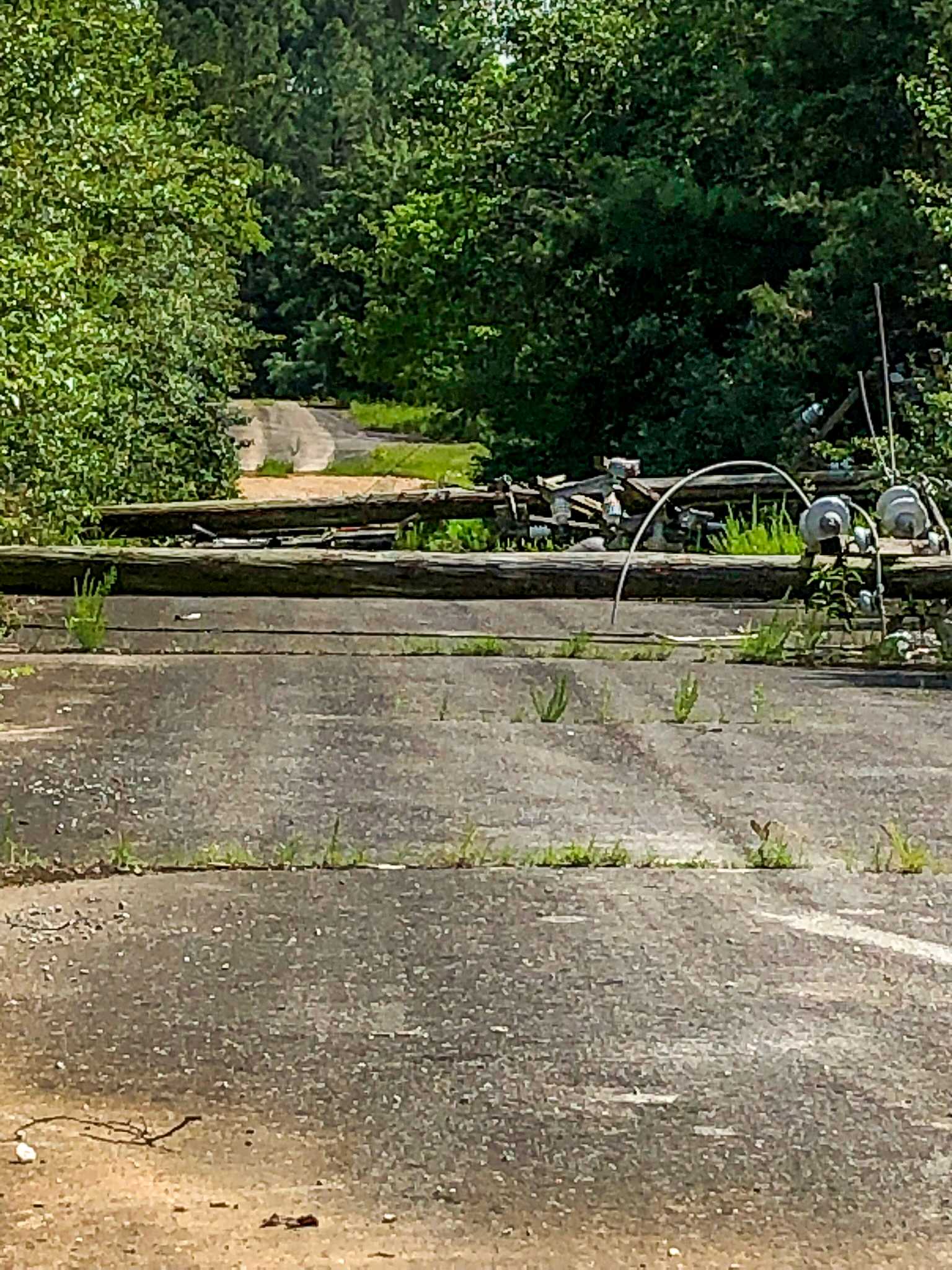 Hamilton County Sheriff's Office / Downed power lines are pictured. Officials allege Joel Donald Brown, 49, of Ooltewah, cut down power poles at the Volunteer Ammunition property and removed and sold the aluminum cable for scrap.