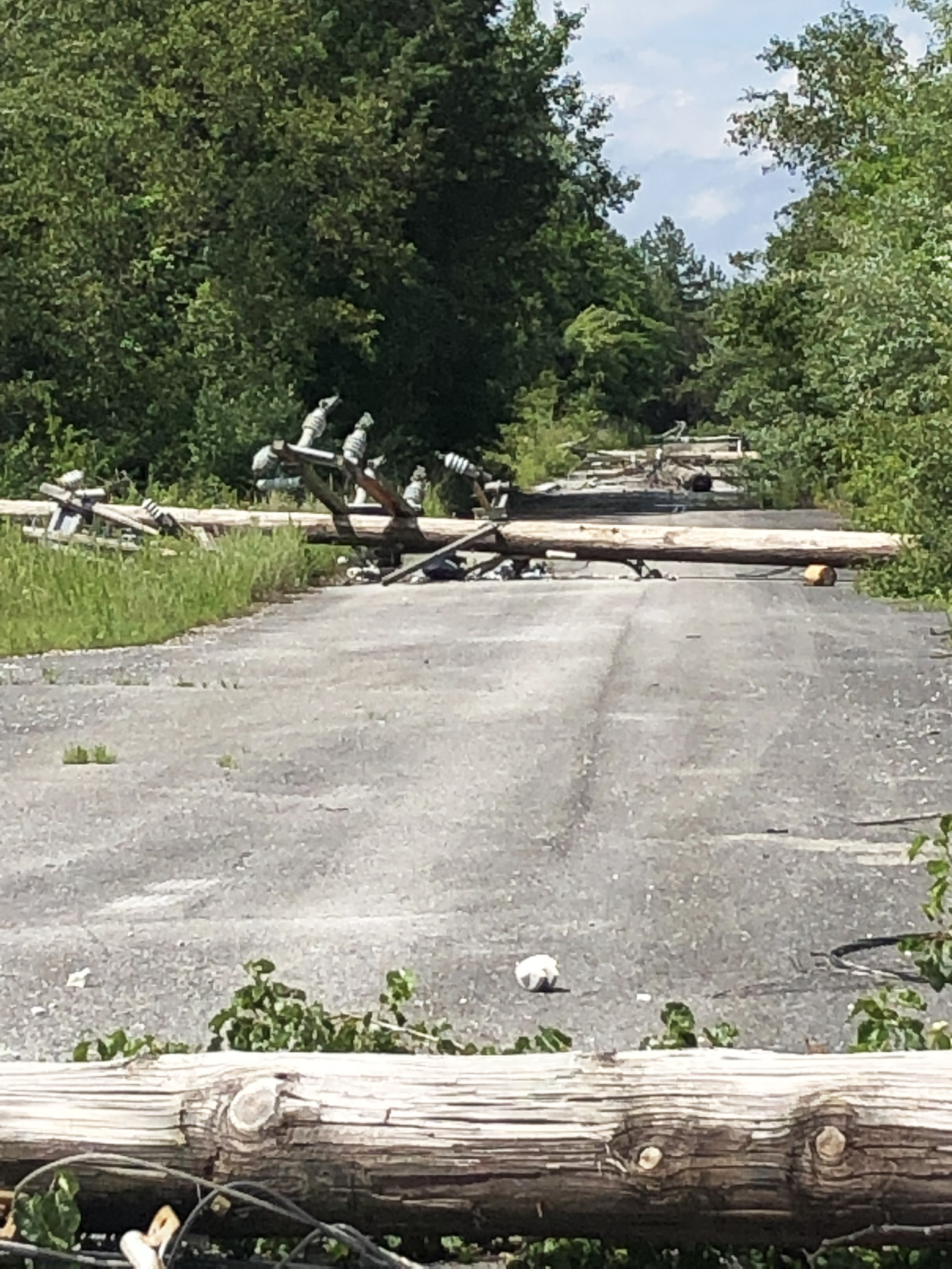 Hamilton County Sheriff's Office / Downed power lines are pictured. Officials allege Joel Donald Brown, 49, of Ooltewah, cut down power poles at the Volunteer Ammunition property and removed and sold the aluminum cable for scrap.