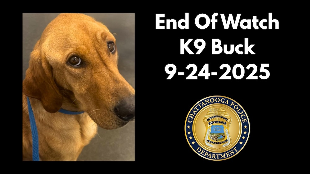 Chattanooga Police Department / Chattanooga police K-9 Buck died Sept. 24, 2025, from medical complications.