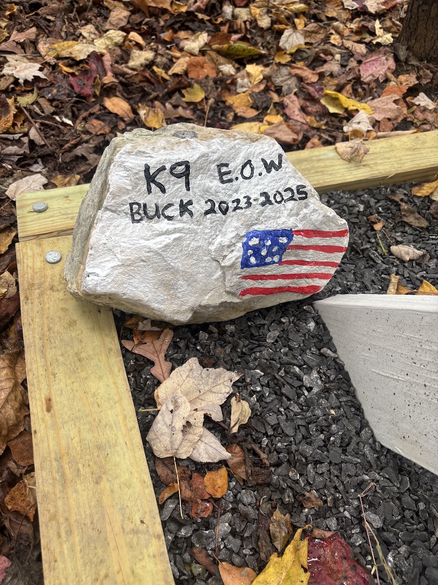 Chattanooga Police Department / A stone is painted in memory of Chattanooga police K-9 Buck, who died Sept. 24, 2025, from medical complications.