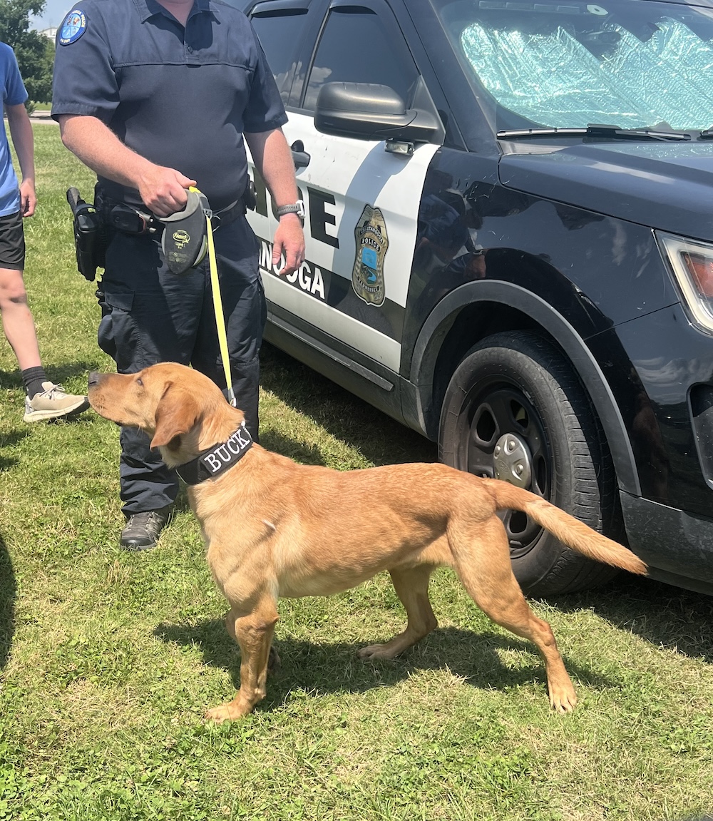 Chattanooga Police Department / Chattanooga police K-9 Buck died Sept. 24, 2025, from medical complications.