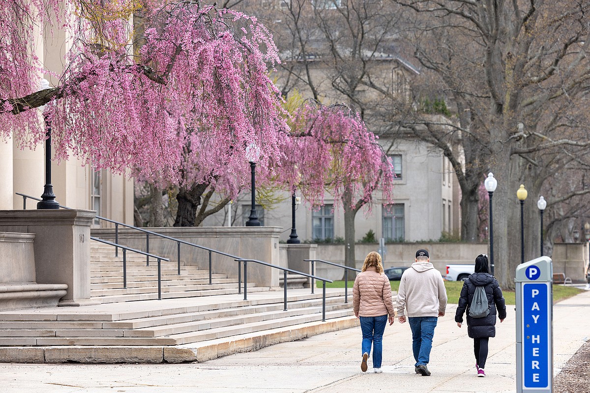 Opinion: Fearing Trump, universities restrict their own academic freedom