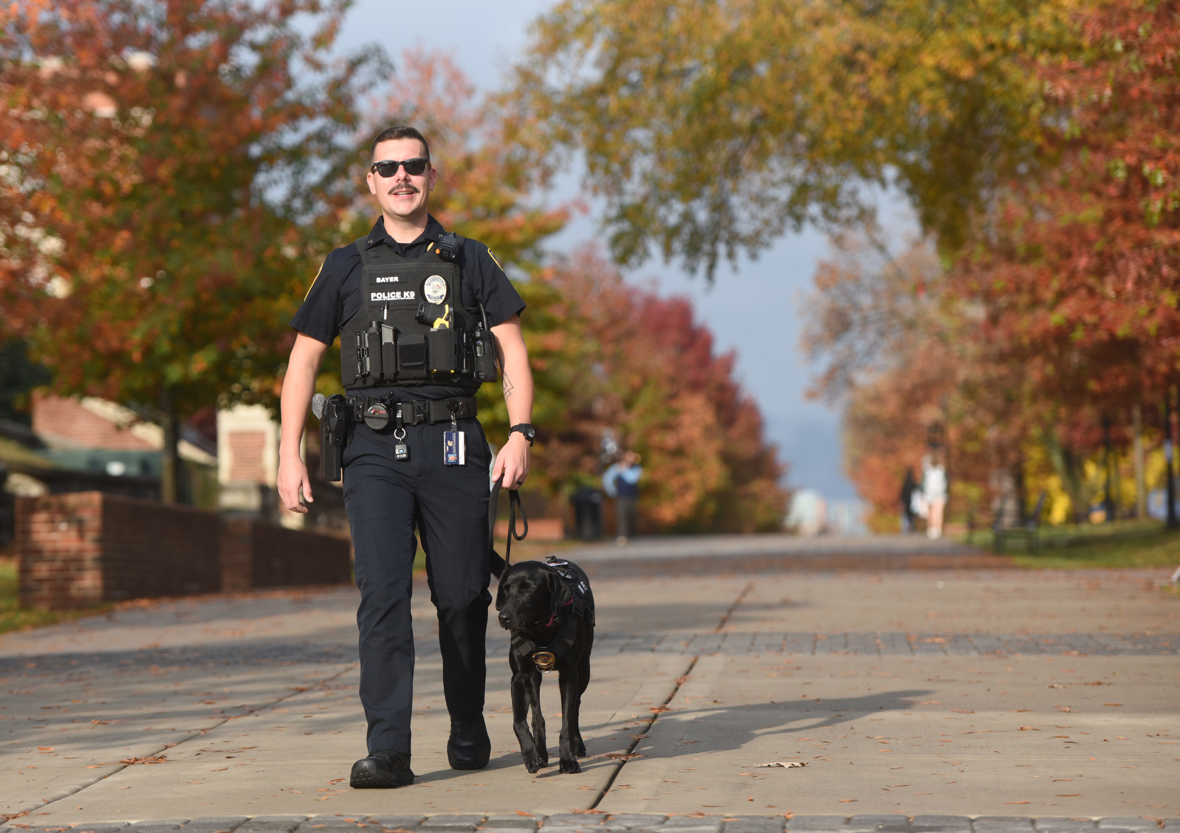 WATCH: New UTC Police Department K-9 Sgt. Sophie making a difference on  campus | Chattanooga Times Free Press
