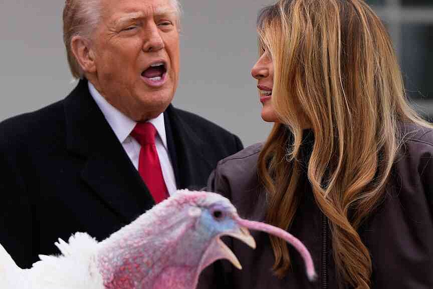 Trump spares turkeys at annual pardoning ceremony