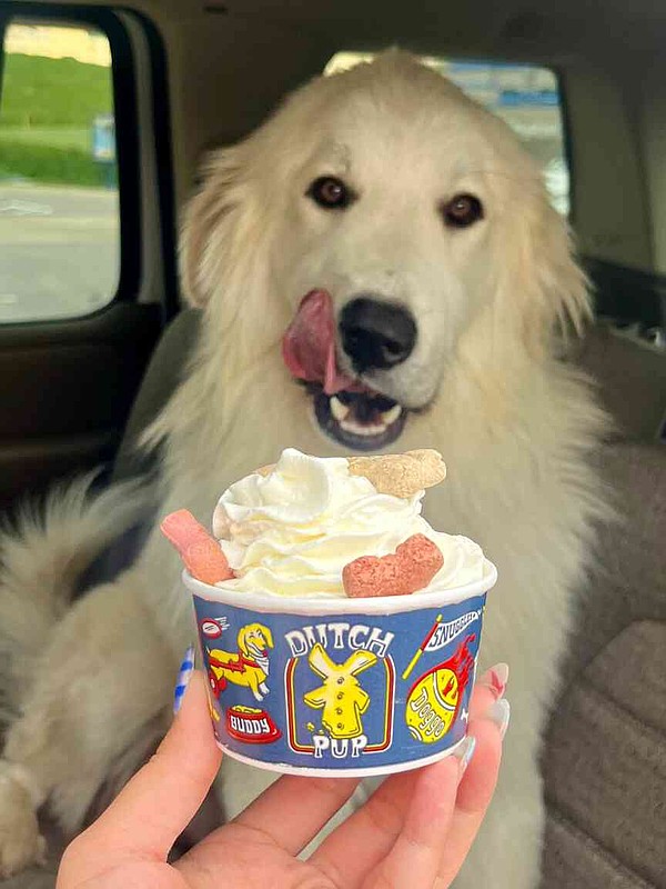 Your dog deserves sweet treats, too | Jefferson City News Tribune