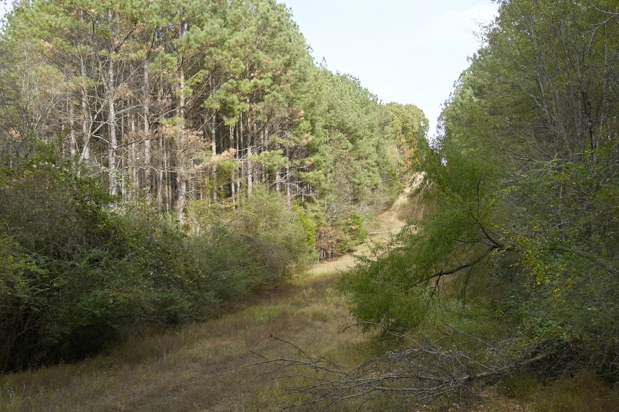 Staff file photo / According to a proposed land swap deal by Hamilton County Mayor Weston Wamp, the Southern end of Enterprise South Nature Park would be opened up to industrial development, impacting the neighborhoods in the region.