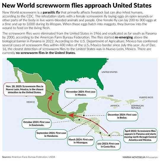 Flesh-eating fly could be back in Missouri soon