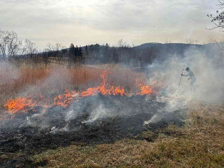 COLUMN | I just set my farm on fire. It was thrilling.