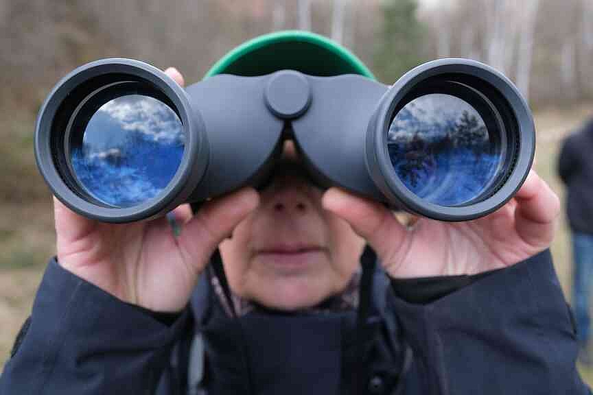 Bird-watching holidays could be trend for 2026 | Jefferson City News-Tribune