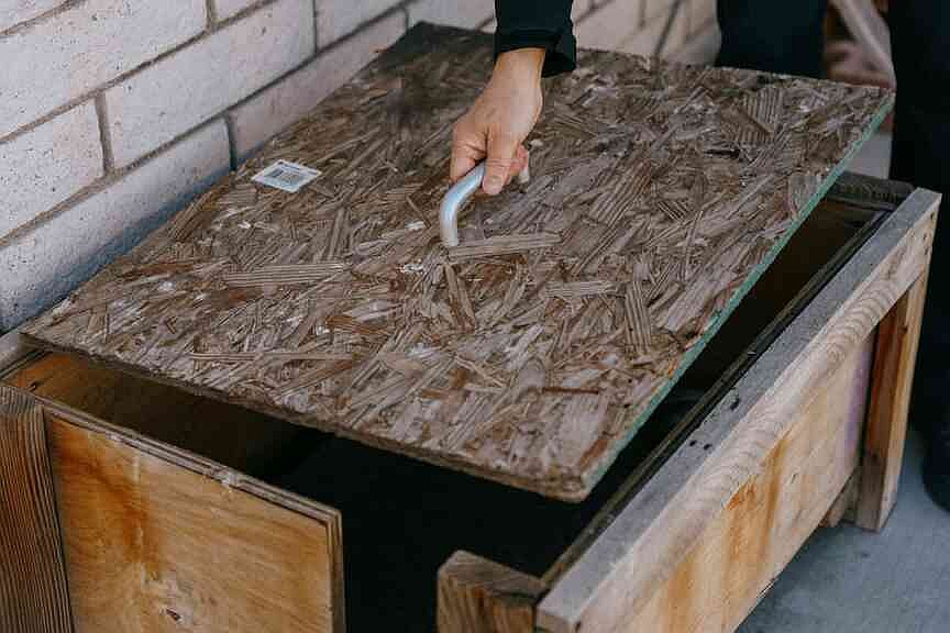 Las Vegas Valley home to at least 200,00 stray cats