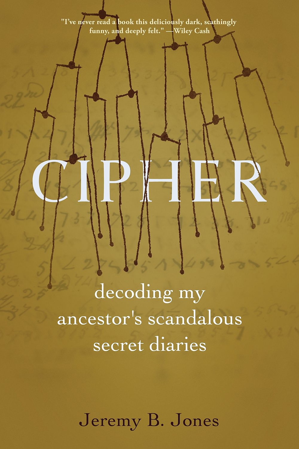 Book Review: In ‘Cipher,’ Jeremy B. Jones decodes his ancestor’s journals for clues to his own identity