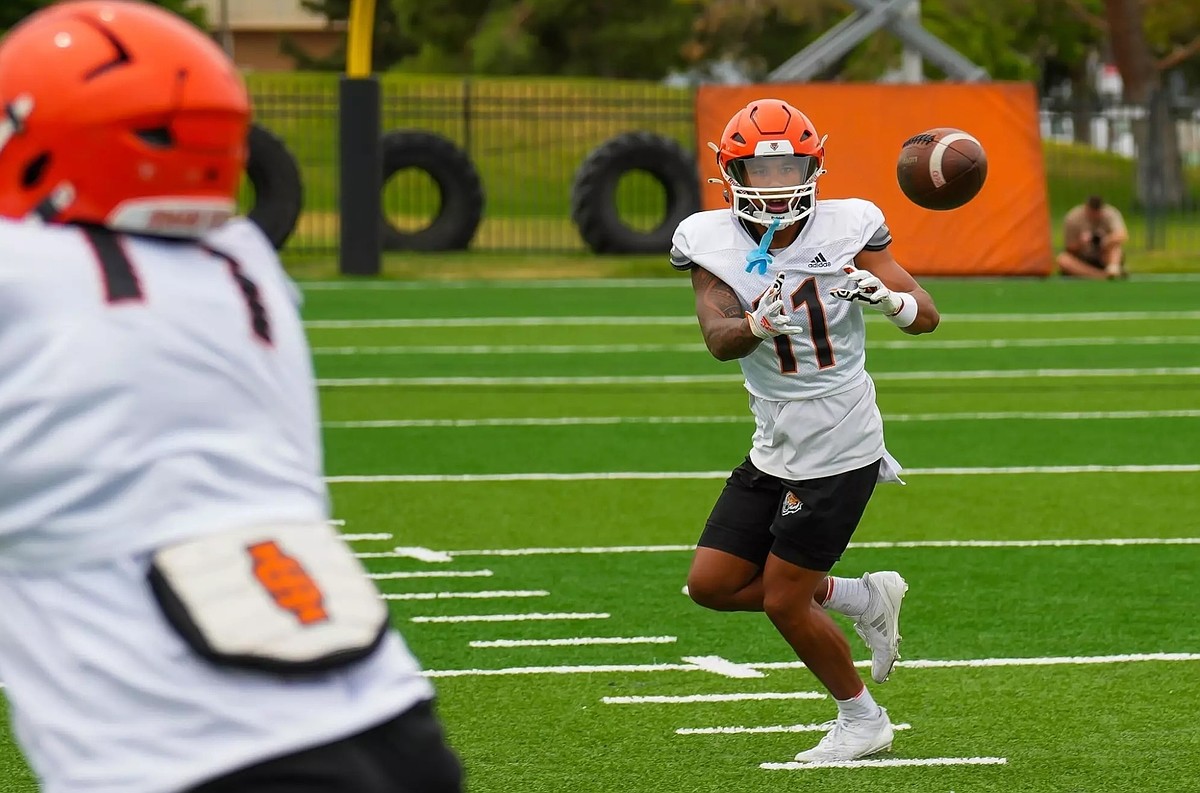 Vols add Idaho State receiver, return specialist through transfer portal