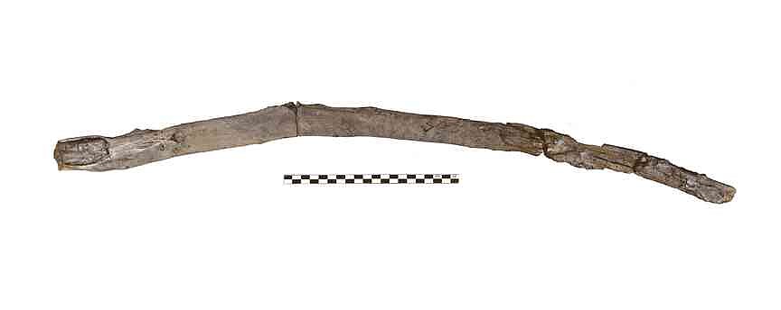 Oldest known wooden tools found at lake shore in Greece