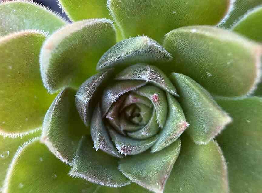 Bring the desert's warmth indoors this winter with big, bold