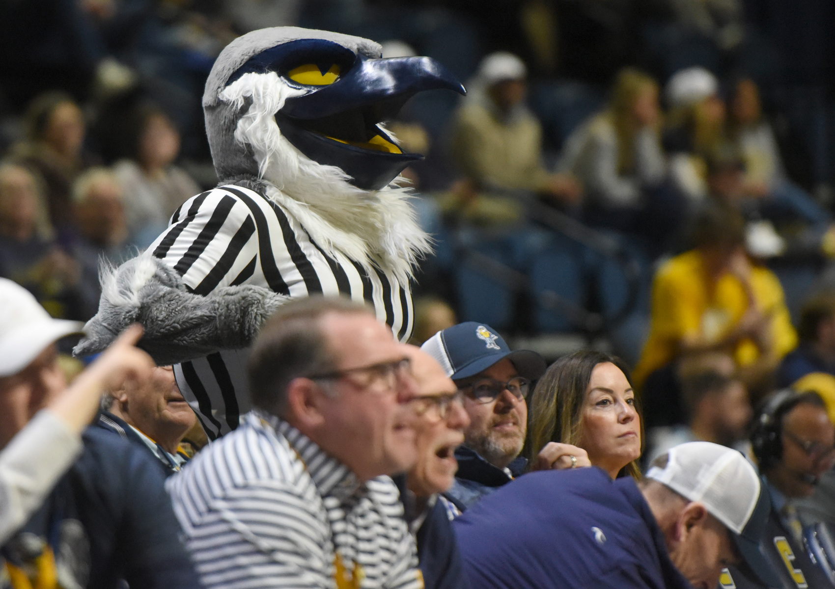 Staff photo by Matt Hamilton/ The UTC mascot Scrappy watches the action during their game against The Citadel at McKenzie Arena on Saturday, Feb. 7, 2026.
