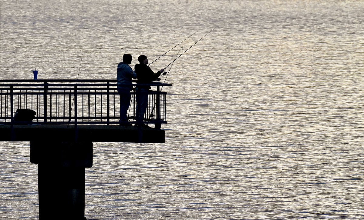 Community voice: Tennessee must modernize wildlife funding