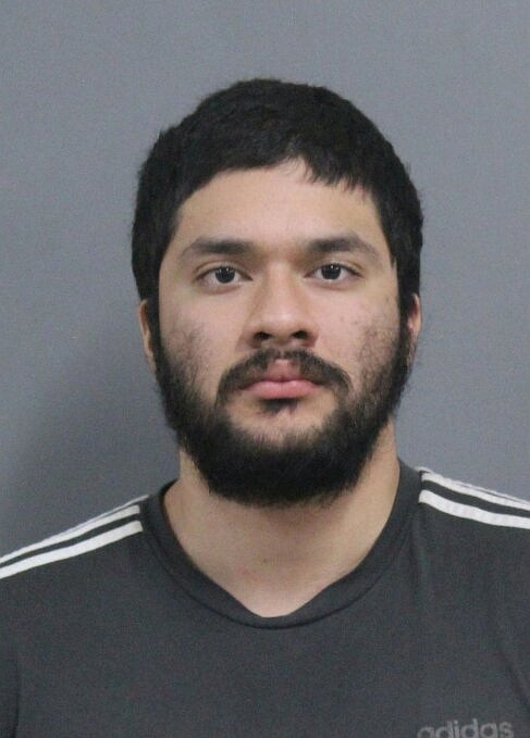 Rossville man faces life in prison after pleading guilty to stomping ...