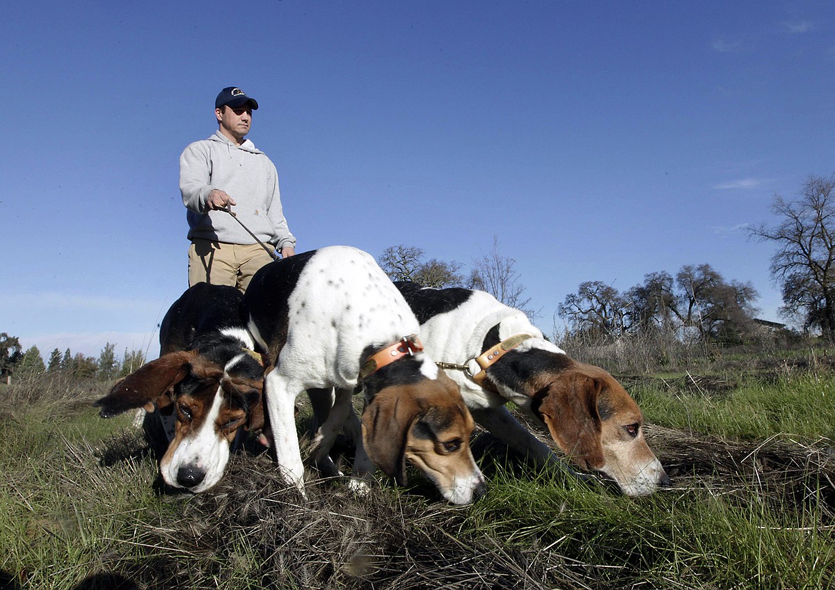 Case: Virginia’s hunting dog debate matters in your neck of the woods, too