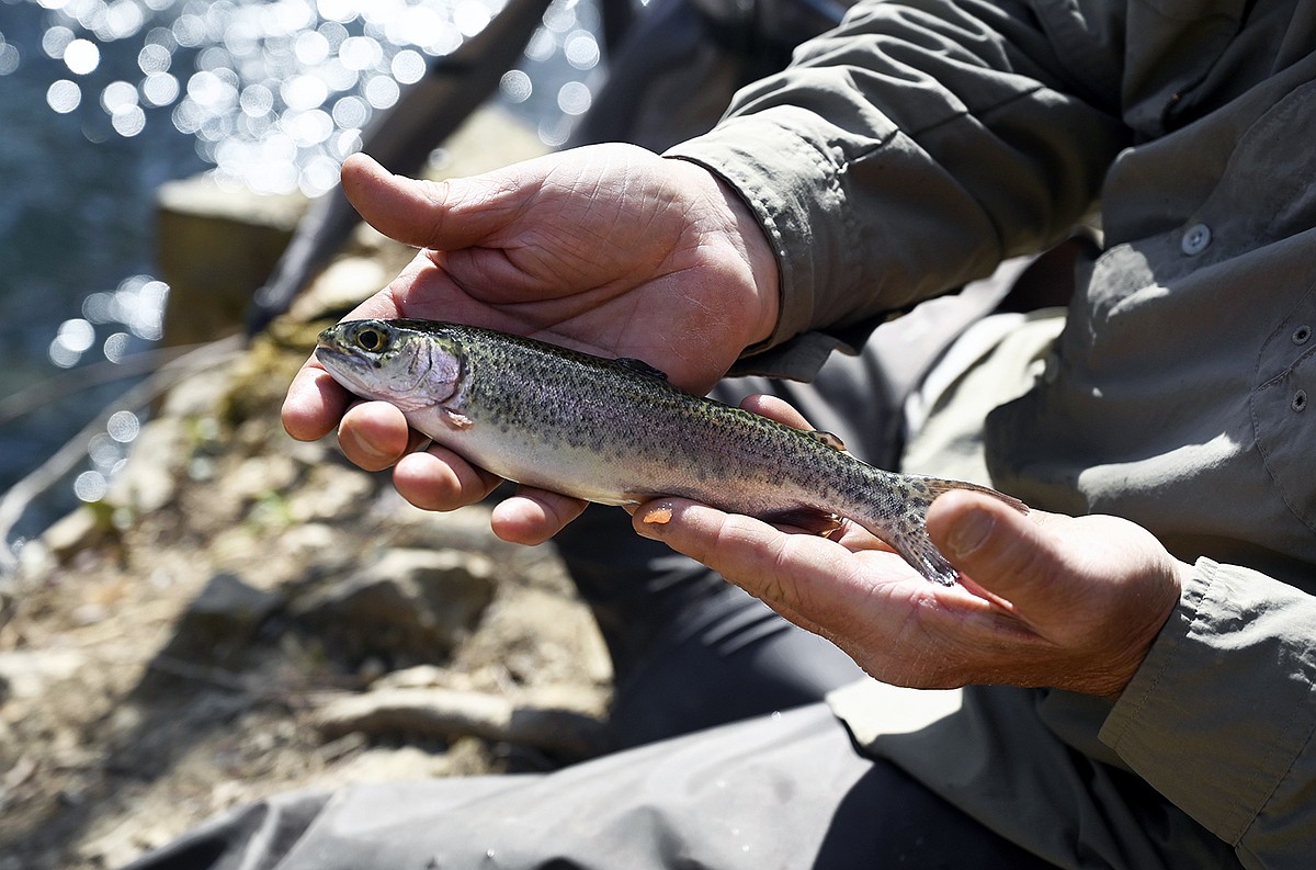 Case: Paris can have the snails; bring me some ramps, trout and turkey