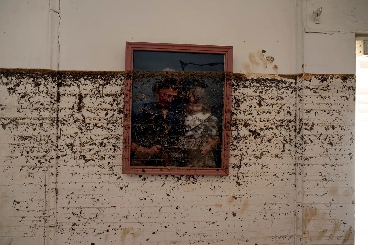 A hotter, wetter South is becoming a breeding ground for mold