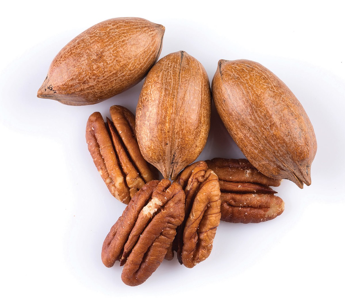 Texarkana region extension offices to host pecan cultivation information meeting
