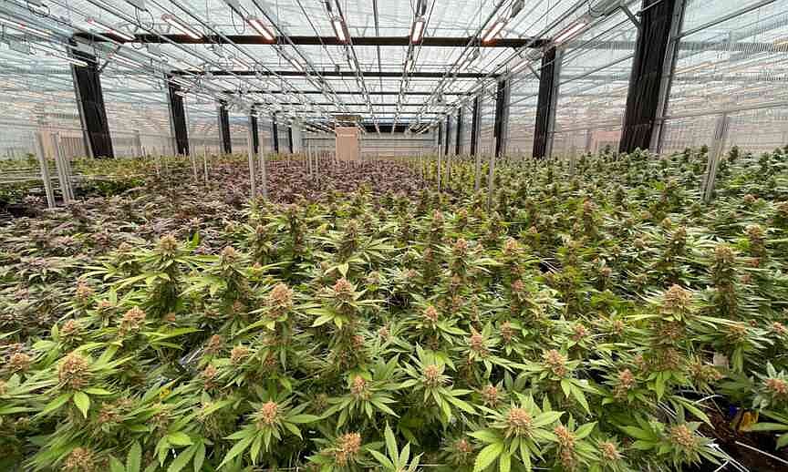 Nearly $100M in Missouri marijuana tax revenue sits unused, despite voter mandate