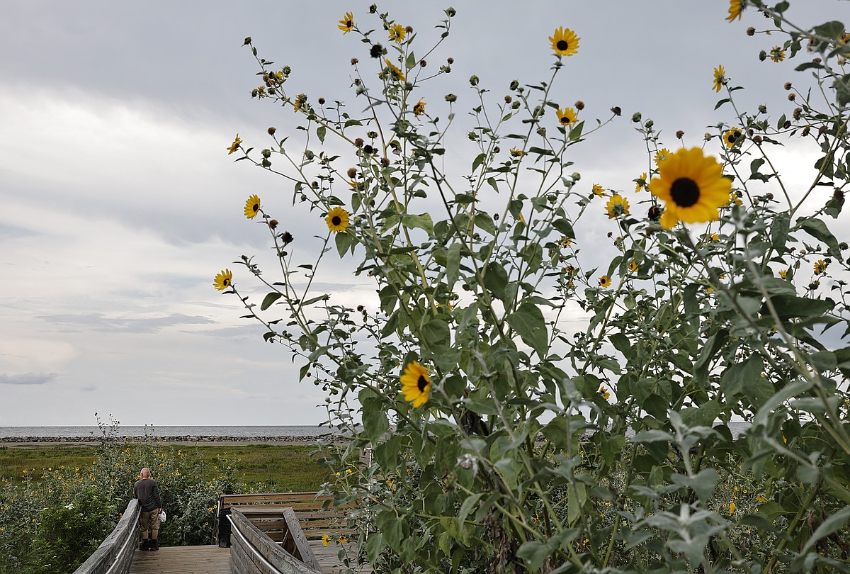 'Whitey' Bulger's life in a Louisiana oasis still shocks the locals