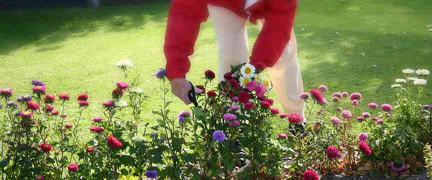 How can I make the most of spring gardening?