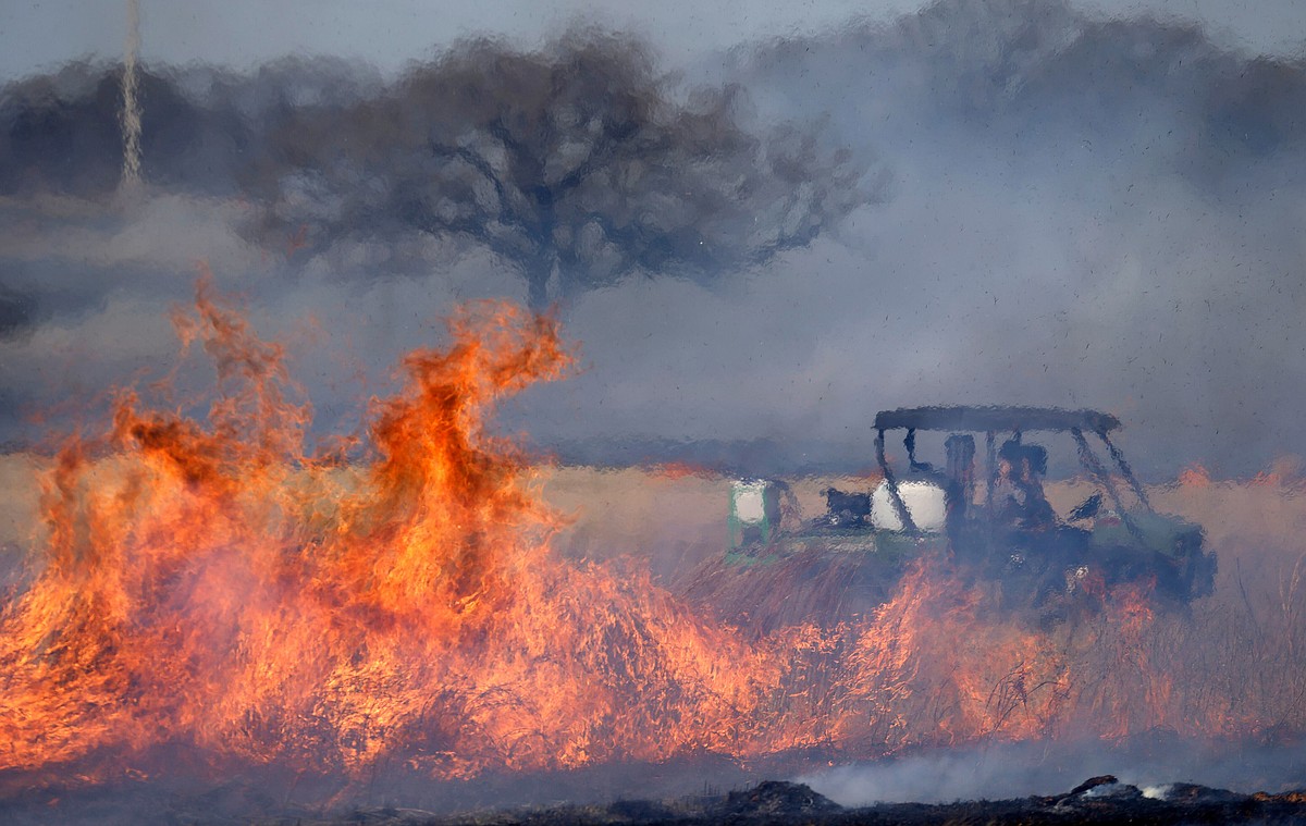 Prescribed burns play regenerative role in Texas ecosystems. Here's why