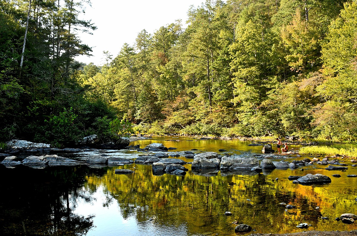 Community Voice: Maintaining public Tennessee lands is good business