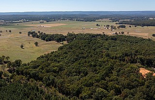 An aerial view of an Arkansas forest is shown in this undated University of Arkansas System Division of Agriculture file photo. (Special to the Democrat-Gazette/University of Arkansas System Division of Agriculture courtesy photo)