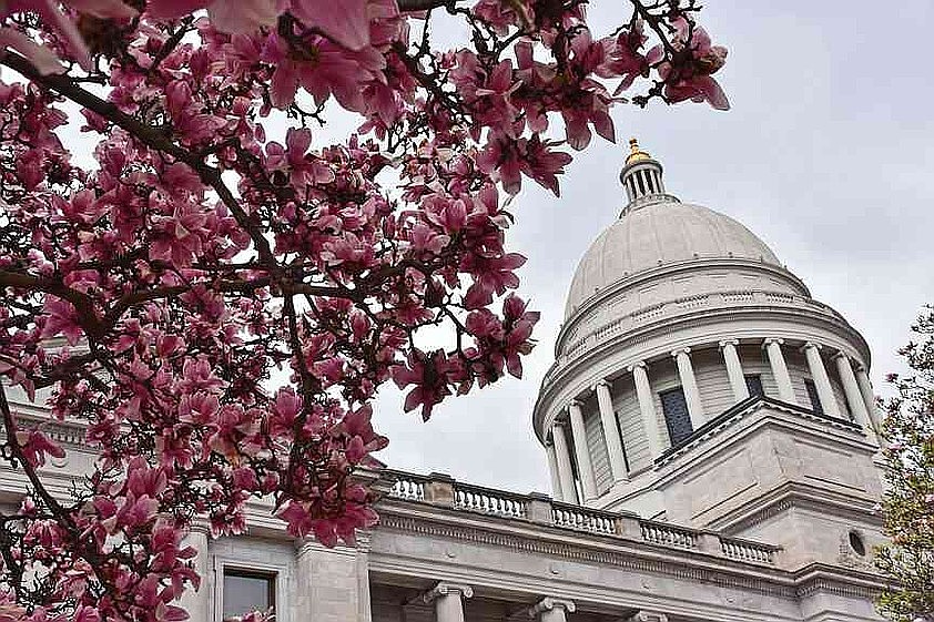Column: State Capitol Week in Review