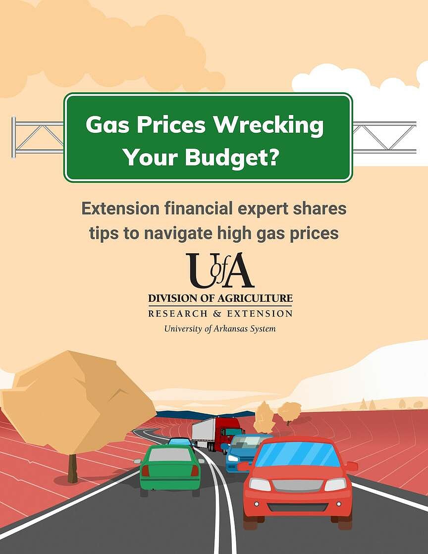 Extension financial expert shares tips to navigate high gas prices ...