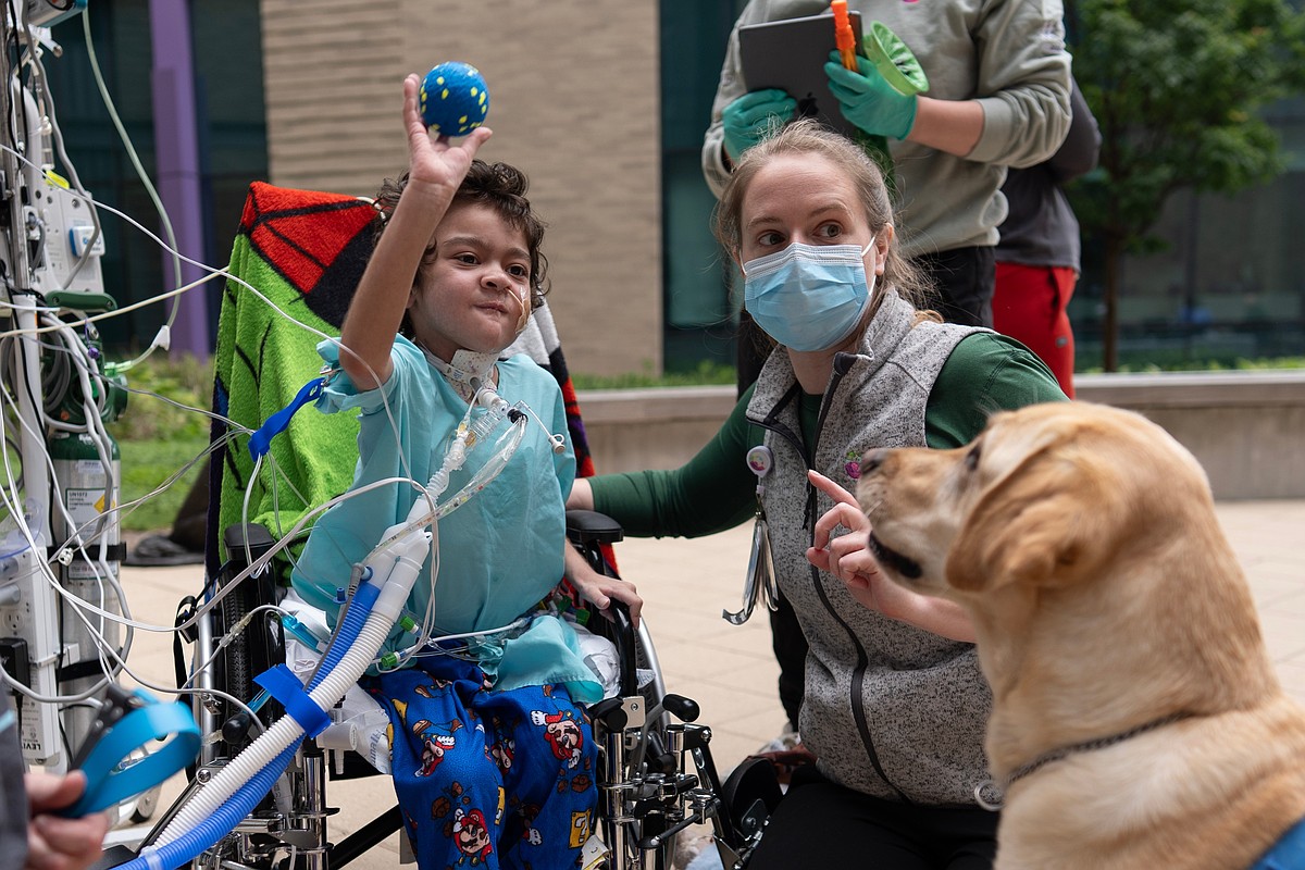 Good dog! More children's hospitals turn to furry caregivers to help kids heal