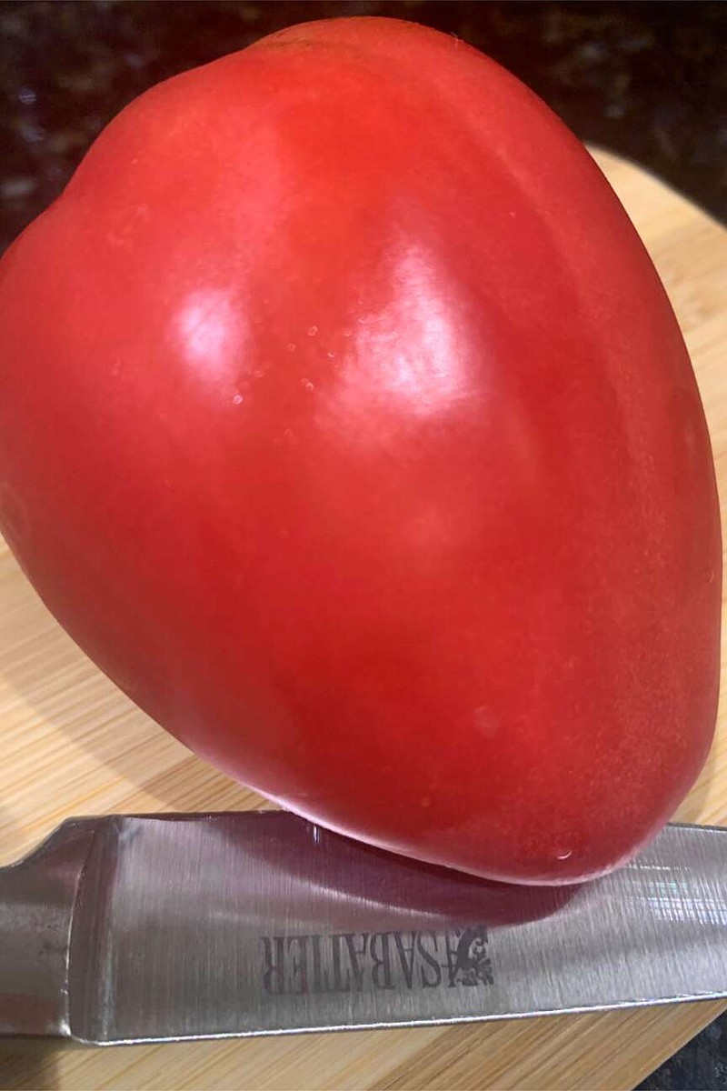 Five tomato superstars for a mouthwatering summer harvest